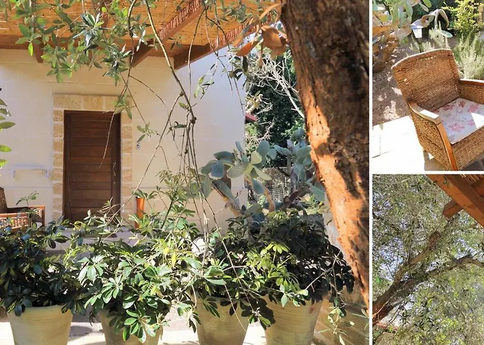 Masseria L'uliveto Agri