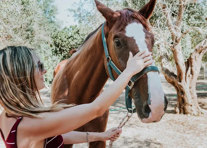 Hotel Masseria L'uliveto Agri Otranto