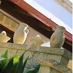 Hotel Masseria L'uliveto Agri