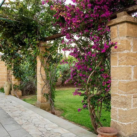 Masseria L'uliveto Agri מלון