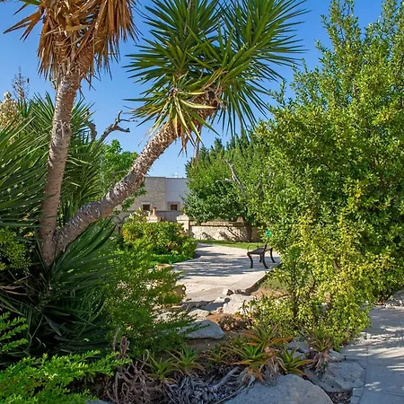 Masseria L'uliveto Agri מלון