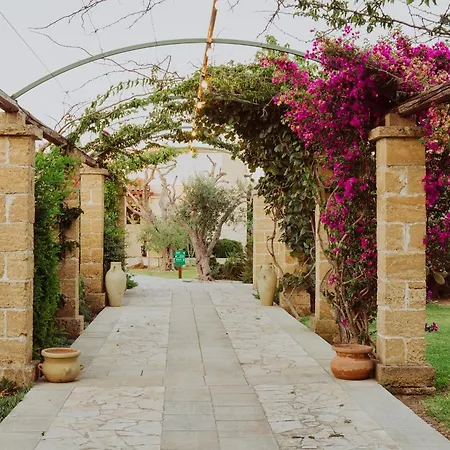 מלון Masseria L'uliveto Agri
