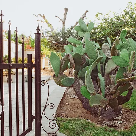 מלון Masseria L'uliveto Agri אוטרנטו
