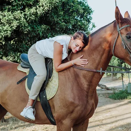 Masseria L'uliveto Agri فندق أوترانتو