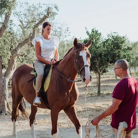 Masseria L'uliveto Agri 3* אוטרנטו