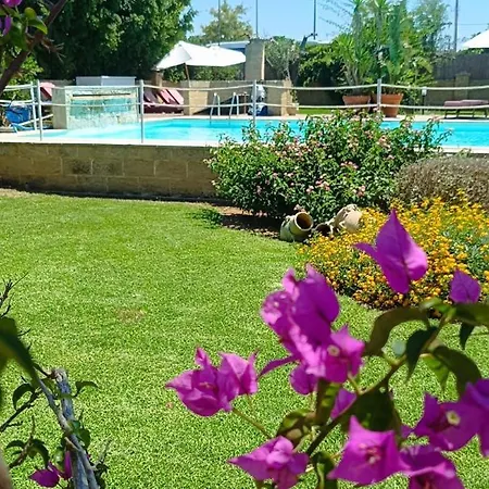 Masseria L'uliveto Agri فندق