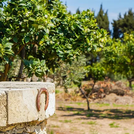 Masseria L'uliveto Agri فندق أوترانتو