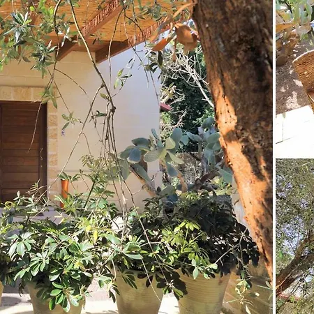 Masseria L'uliveto Agri