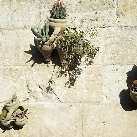 מלון Masseria L'uliveto Agri אוטרנטו