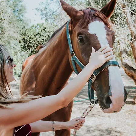 Hotel Masseria L'uliveto Agri Otranto