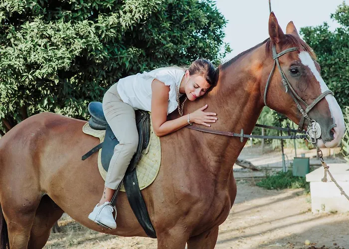 Masseria L'uliveto Agri Hotel Otranto