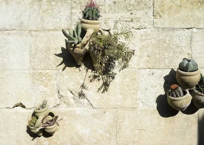 Hotel Masseria L'uliveto Agri Otranto